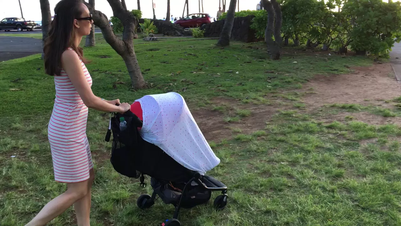 2016 Mountain Buggy Nano Stroller Review - Real Travel Footage