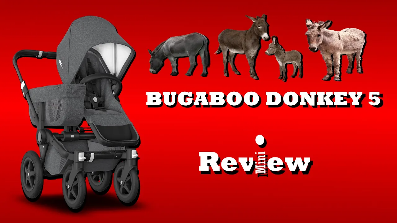 Bugaboo Donkey 5: Mini Review